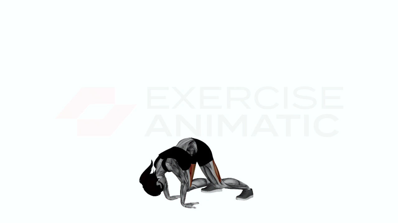 3D animation of a female performing downward dog with fingers facing feet with muscle highlights