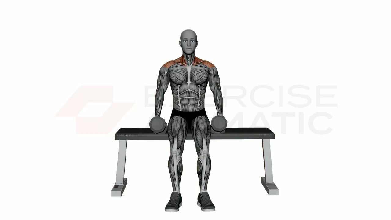 3D animation of a male performing Seated Dumbbell Neutral Grip Front Raises with muscle highlights