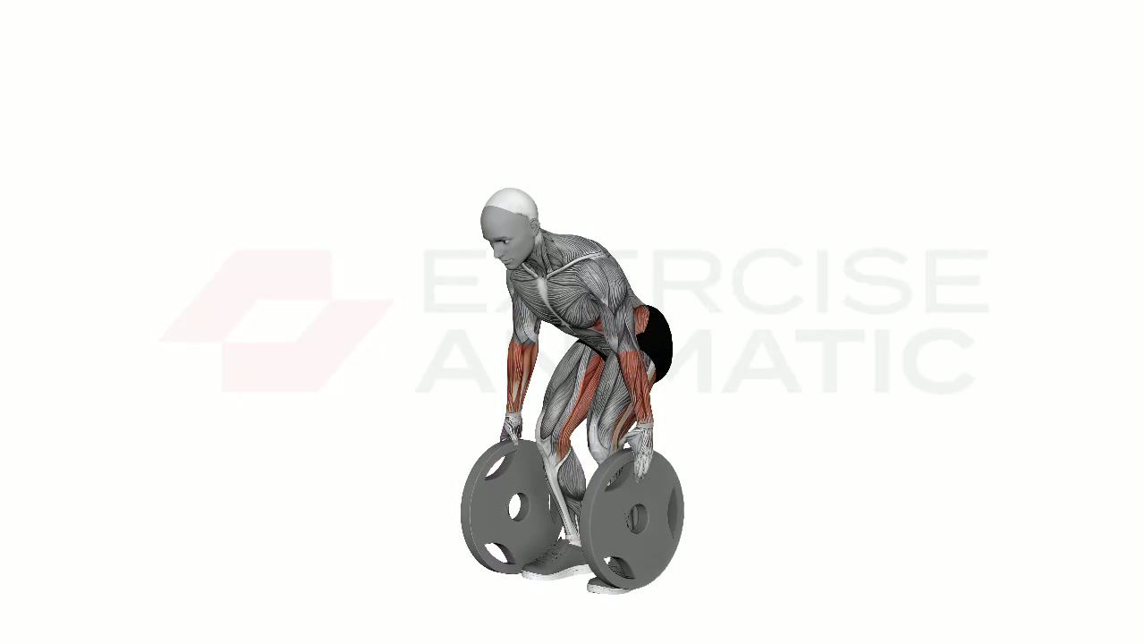 3D animation of a male performing Plate Pinch Grip Deadlift with muscle highlights