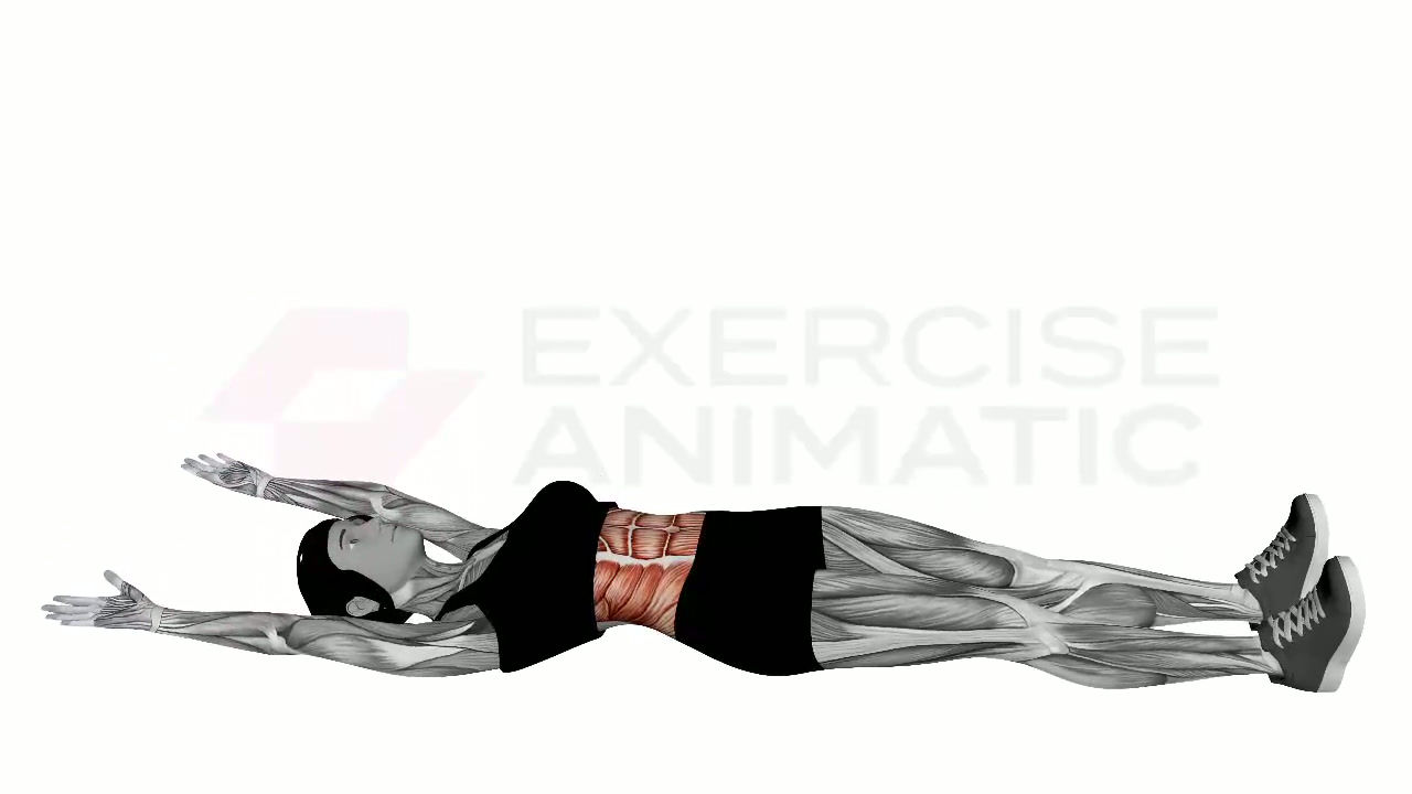 3D animation of a female performing V Crunches with muscle highlights