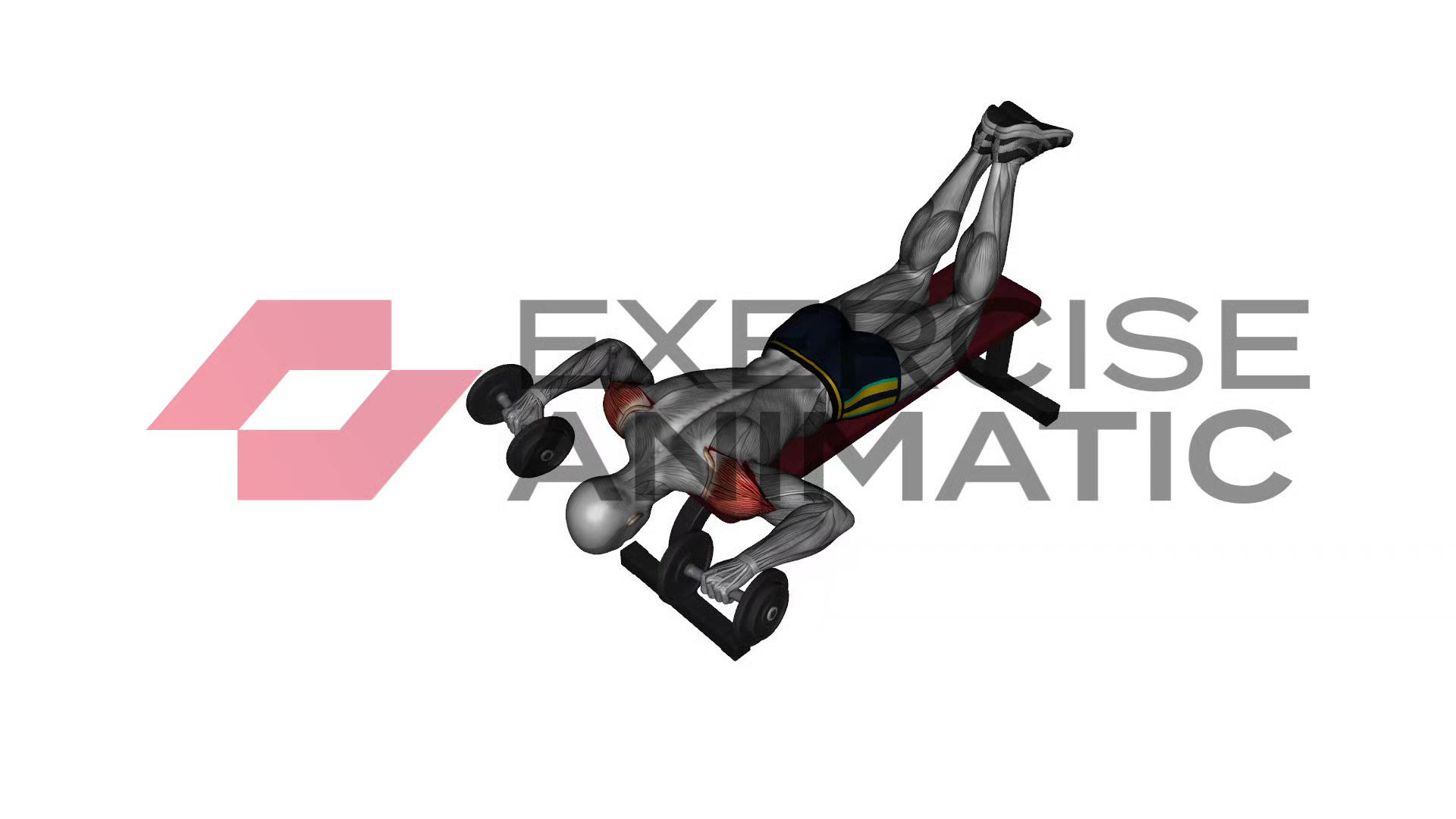 3D animation of a male performing Dumbbell face down lying shoulder press with muscle highlights