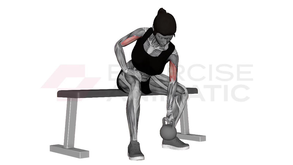 3D animation of a female performing Kettlebell Concentration Curl with muscle highlights