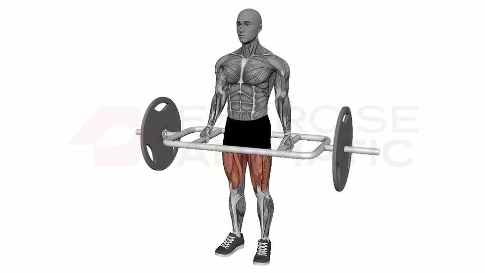 3D animation of a male performing Trap Bar Deadlift with muscle highlights