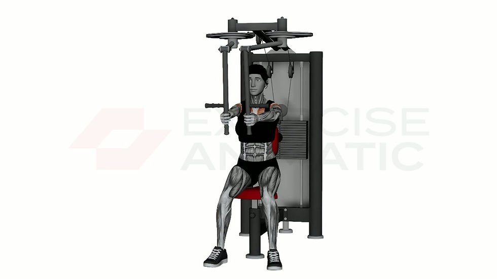 3D animation of a female performing Machine Fly with muscle highlights