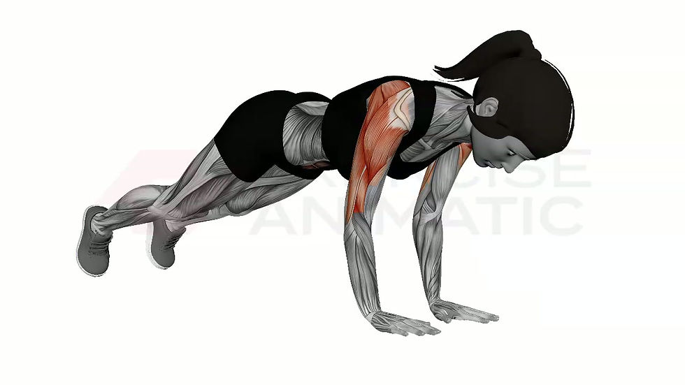 3D animation of a female performing Plank Pushup with muscle highlights