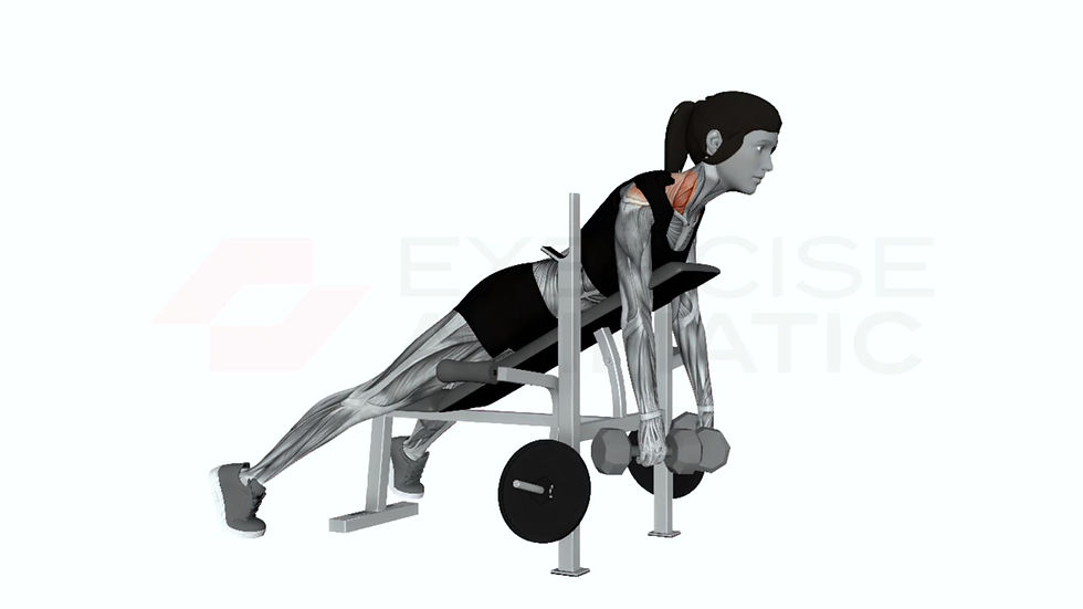 3D animation of a female performing dumbbell laying silverback shrug with muscle highlights