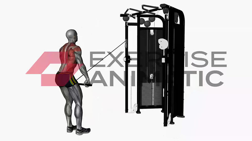3D animation of a male performing Standing Lat Cable Pull Over with muscle highlights