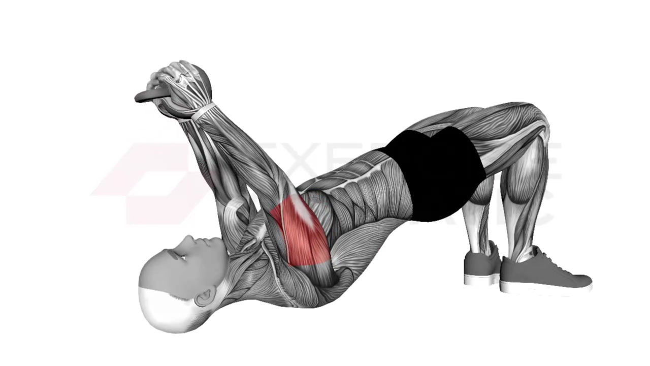 3D animation of a male performing Kettlebell Decline Skull Crusher with muscle highlights