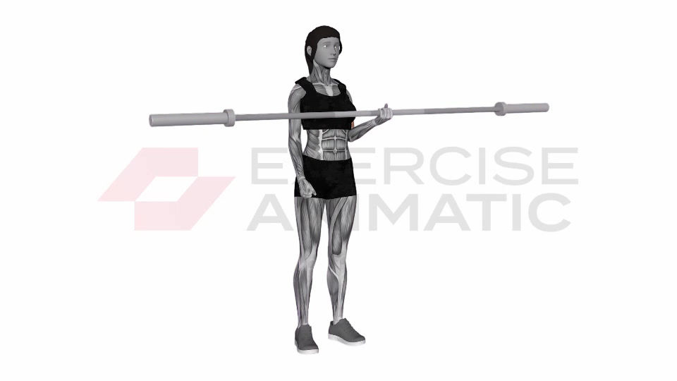 3D animation of a female performing Barbell One Arm Biceps Curl Female with muscle highlights
