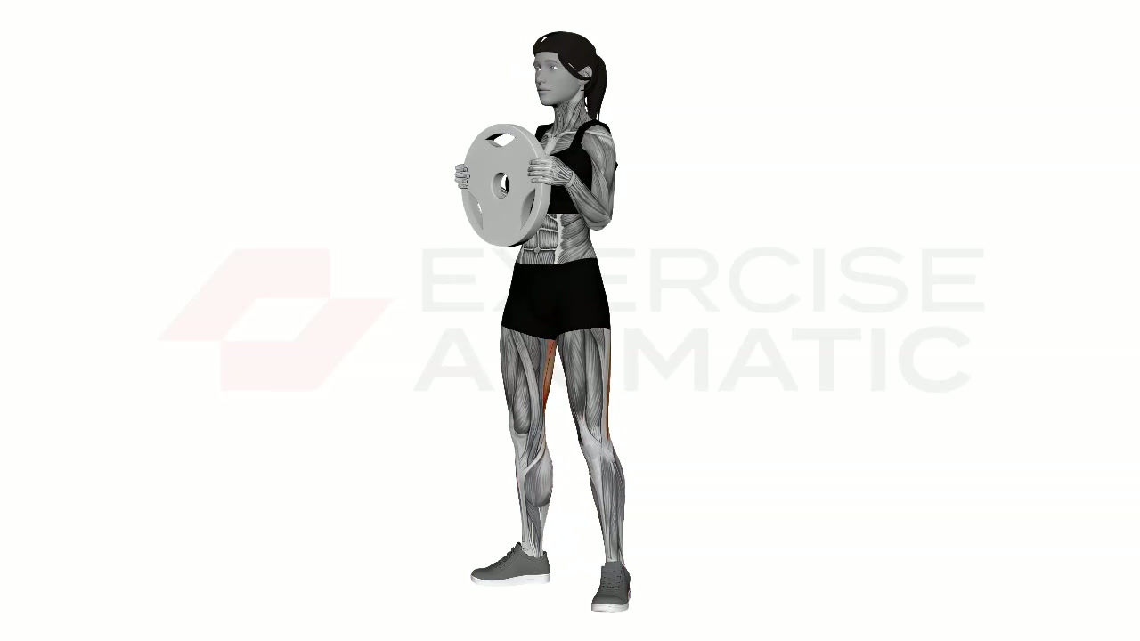 3D animation of a female performing Plate Clean with muscle highlights