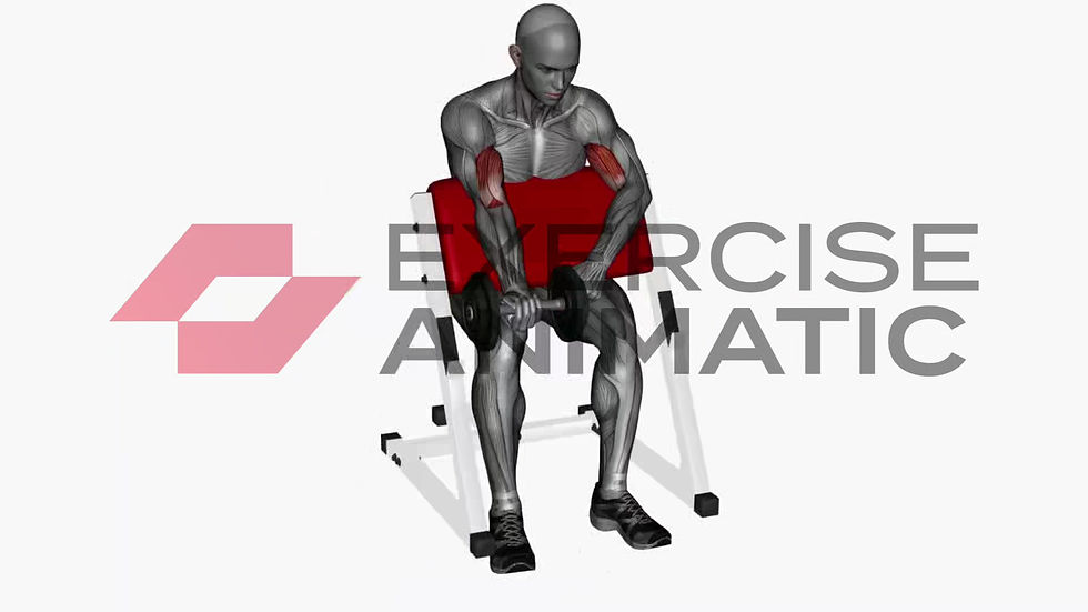 3D animation of a male performing Preacher curl single arm dumbbell with muscle highlights