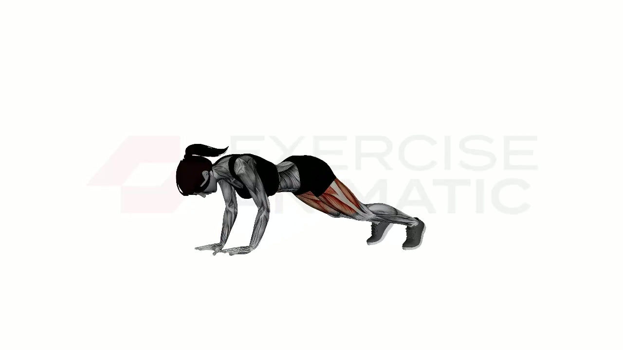 3D animation of a female performing Mountain Climber Jumps with muscle highlights