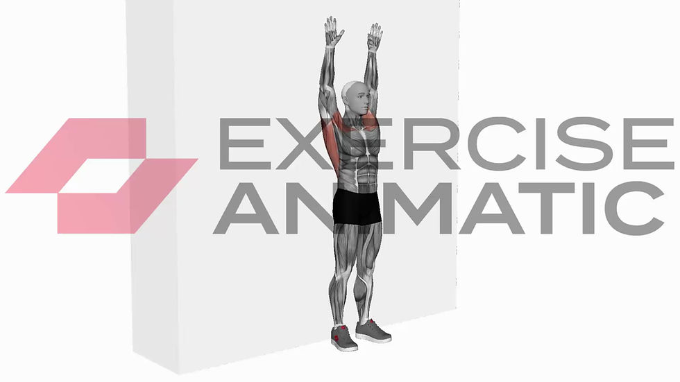3D animation of a male performing Bodyweight Standing Around World Wall Supported with muscle highlights