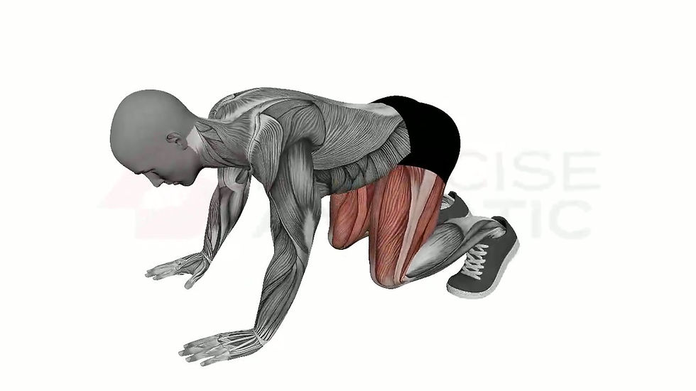 3D animation of a male performing Half Burpees with muscle highlights