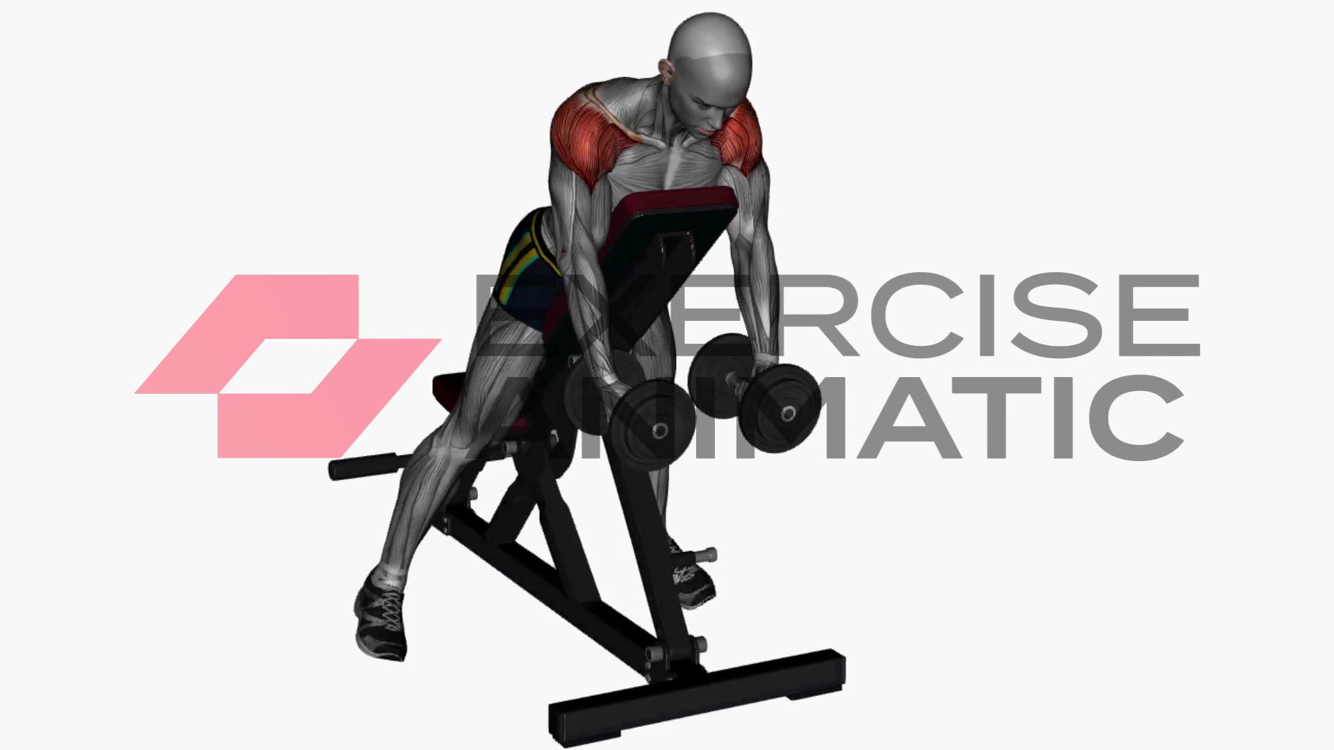 3D animation of a male performing Incline lateral raises dumbbell with muscle highlights