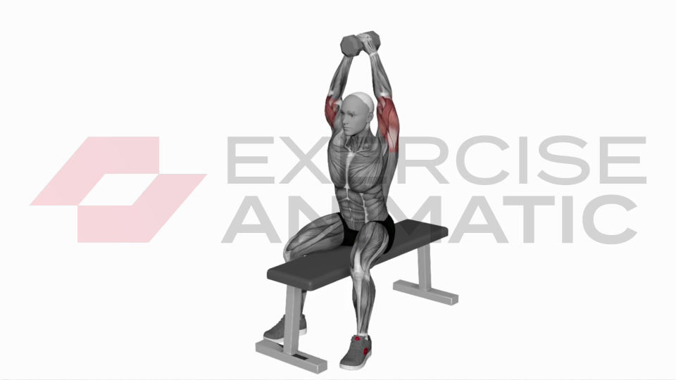 3D animation of a male performing Dumbbell Seated Bench Extension with muscle highlights