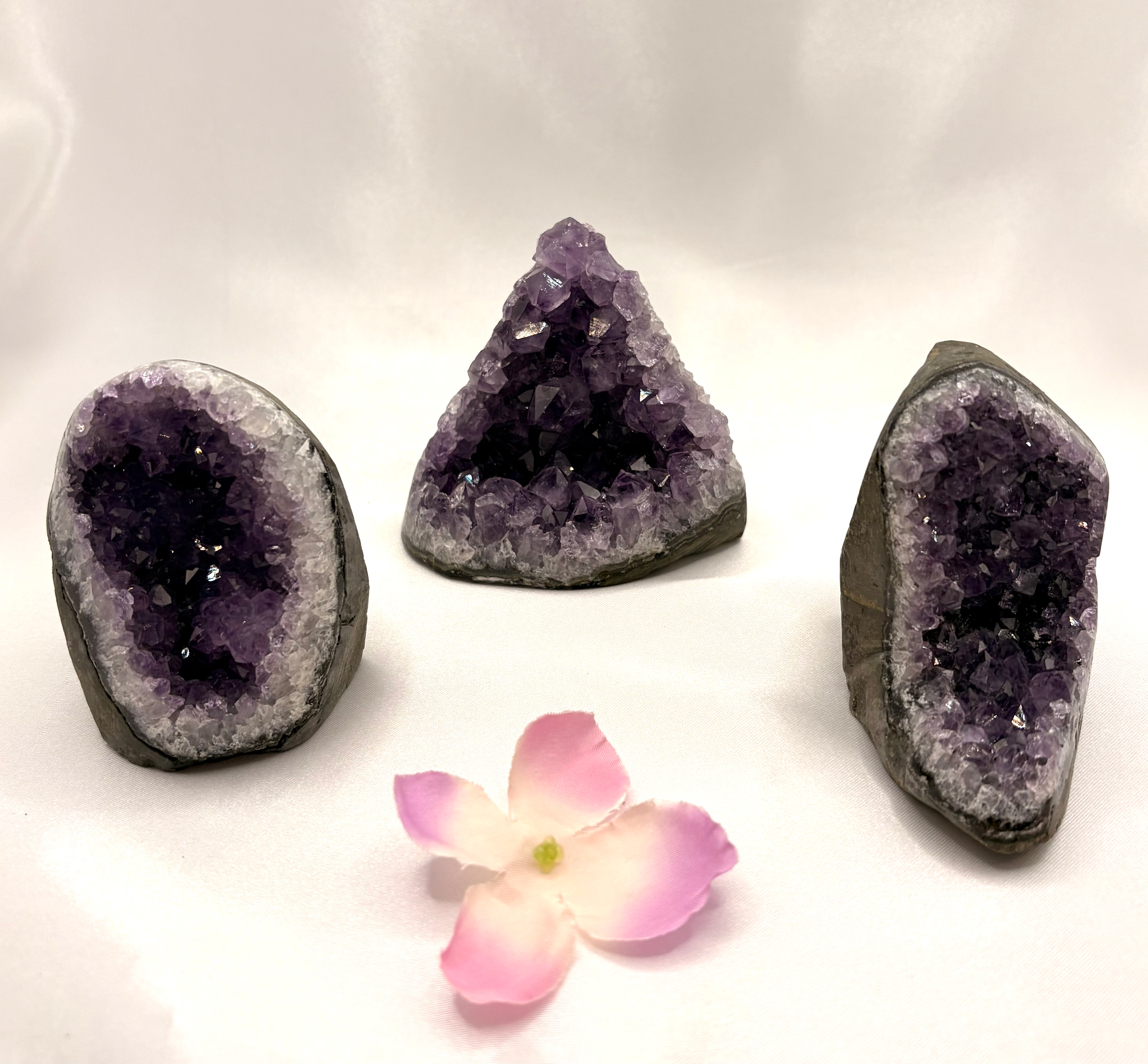 Cut base Amethyst geodes