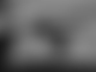 what cannot be said will be wept