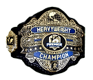 heavyweight championship