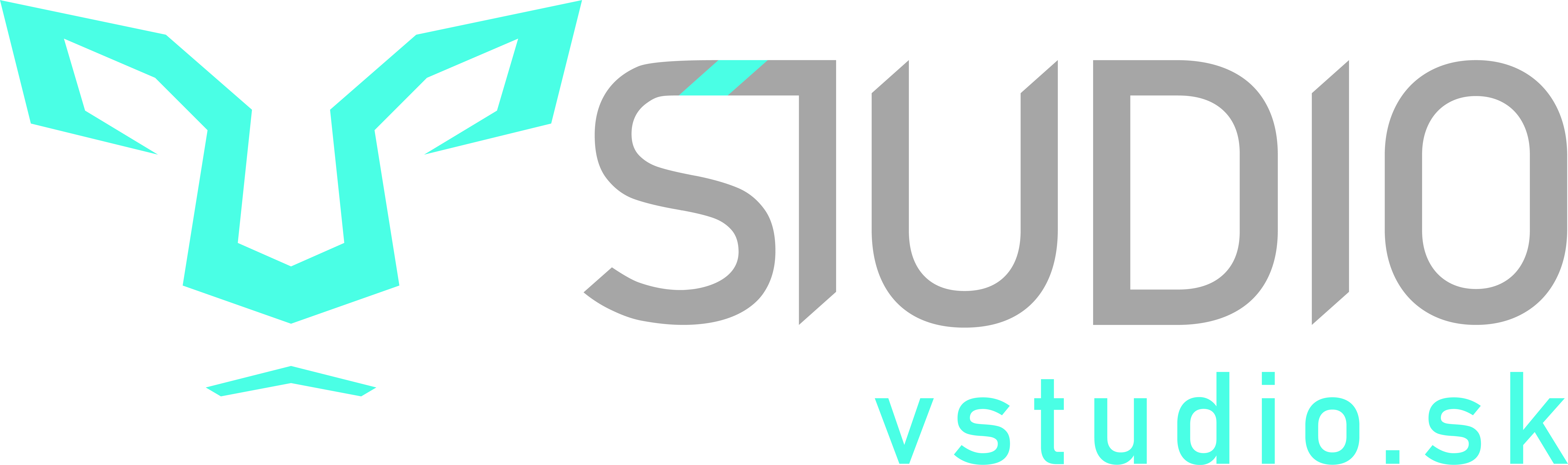 vstudio_logo_horizontal.png