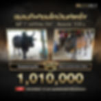 คู่เอกวัวชน