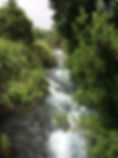 Image site internet 12.jpg