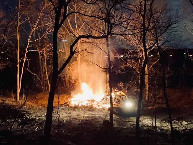 woods clearing at night