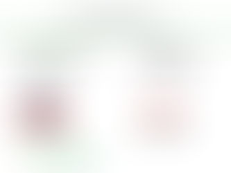 The French National Debate