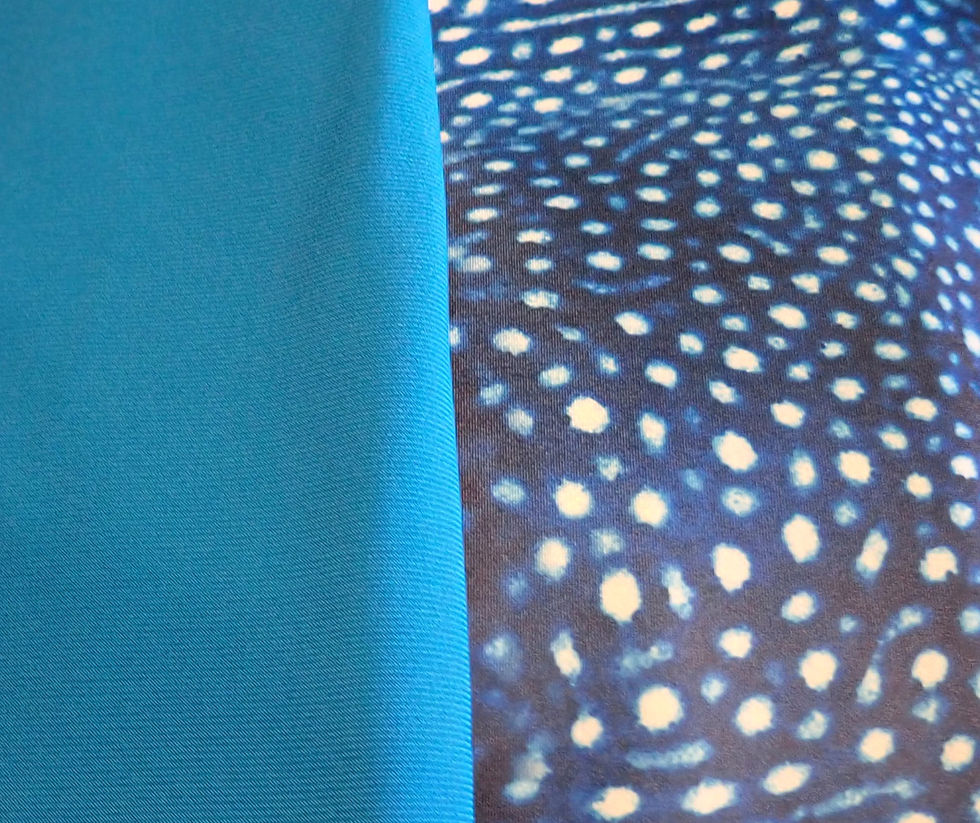 Thumbnail: Rash Guard