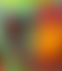 Добрые дары родителей