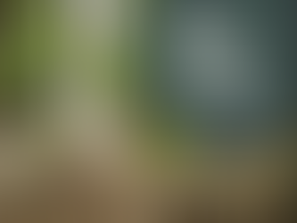 "Metodología práctica para la restauraciónde ecosistemasde humedales" A través de métodos de siembra