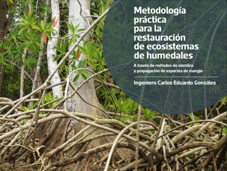 "Metodología práctica para la restauraciónde ecosistemasde humedales" A través de métodos de siembra