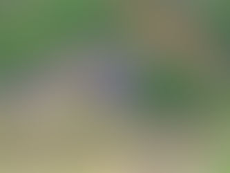 Trabajos en el Atlantico Panameño