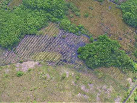 Trabajos en el Atlantico Panameño