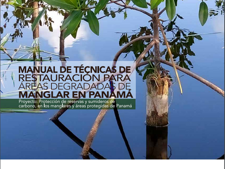 Manual de Técnicas de Restauración