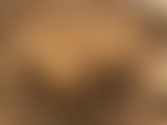 Viveros de Mangle y Especies Asociadas