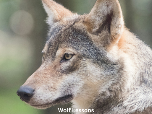 08/10/25 Sunday Service - "Wolf Lessons" by Rev. Kiya Heartwood