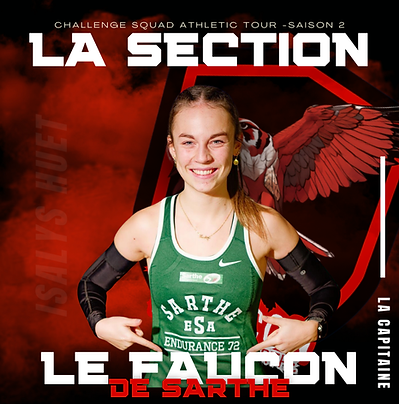 Le Faucon de Sarthe