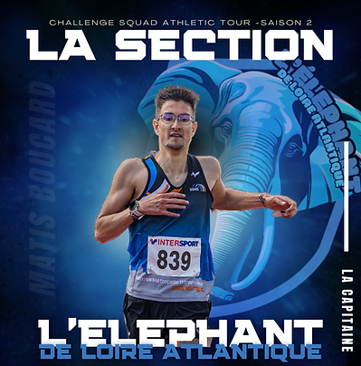 L'Elephant de Loire Atlantique