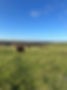 IMG_3885.jpeg