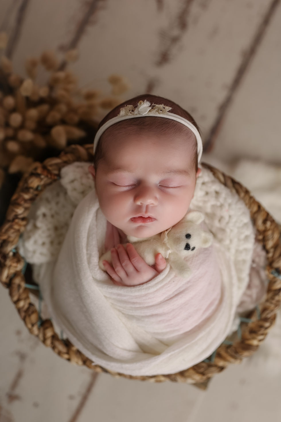 Photographe bébé Abbeville