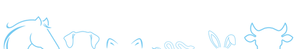 Nouvelle compo silhouettes 2026 bleu clair.png
