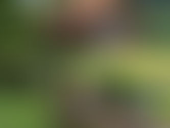 Strength for the Weary