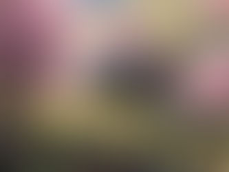 Let the Storm Subside