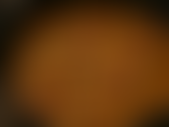 🌾 Chuckwagon Ham & Bean Soup