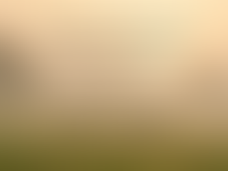 🌿 Daily Grief Devotional — December 14: “Hope Grows Even Here”