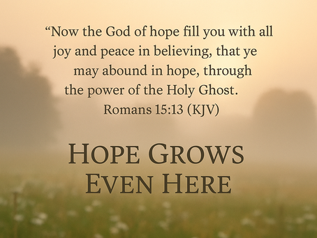 🌿 Daily Grief Devotional — December 14: “Hope Grows Even Here”