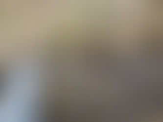 Why All The Bloodshed