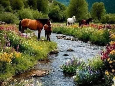 Victory Through The Blood