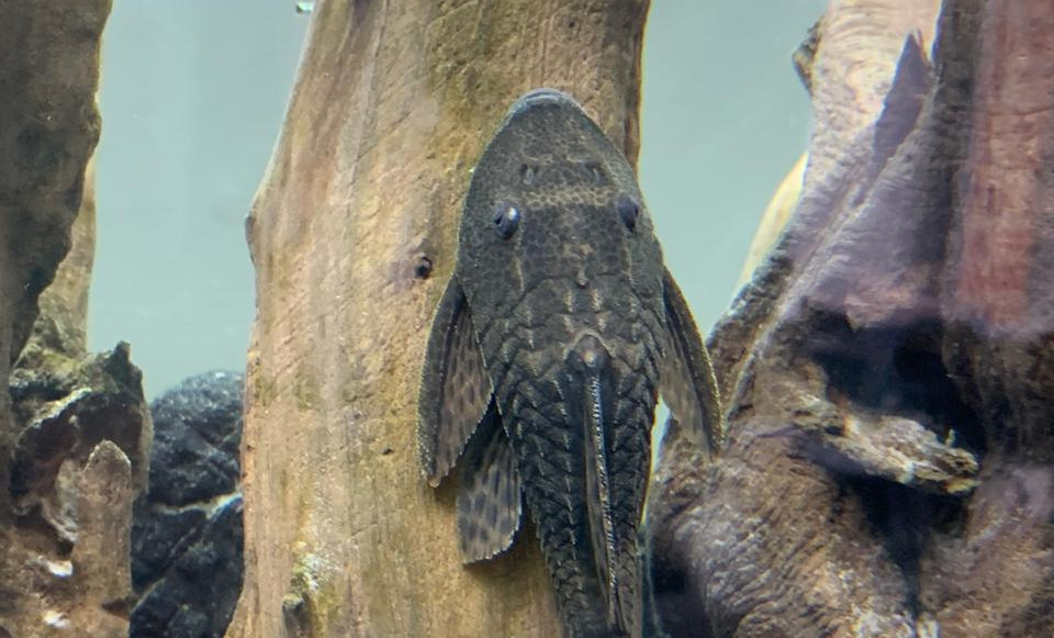 ada5e70d-a0a5-4300-bdf0-ab00ff312d0b (1)